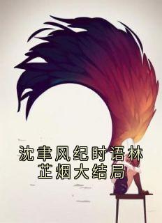 沈聿风纪时语林芷烟大结局免费章节沈聿风纪时语林芷烟大结局点我搜索全章节小说-二筒文学网