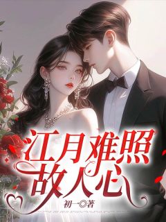 （全本）江月难照故人心主角陆云起沈尘薇全文目录畅读