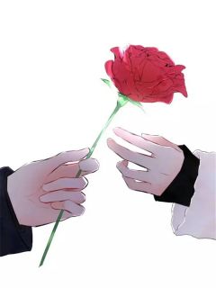 重回八零，假离婚成真后他慌了抖音全本小说沈知夏程砚抖音免费章节阅读