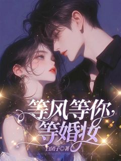 等风等你等婚妆by苏忘忧秦白夜在线阅读