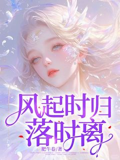 (精品)风起时归落时离小说