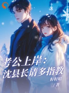 主角安岁岁沈延舟小说完整版-考公上岸：沈县长请多指教！免费阅读全文