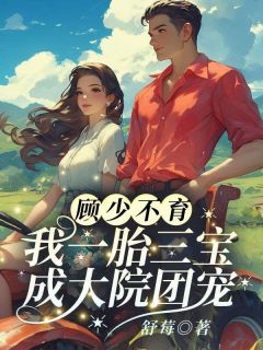 独家江舒棠三胞胎全本大结局小说阅读-二筒文学网