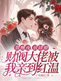 微醺夜，放肆撩，财阀大佬被我亲到红温沈时一阮慕声小说全章节最新阅读