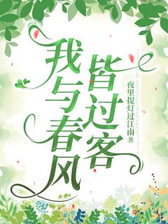 我与春风皆过客小说全章节目录阅读BY倒拔垂杨柳的黛玉完结版阅读