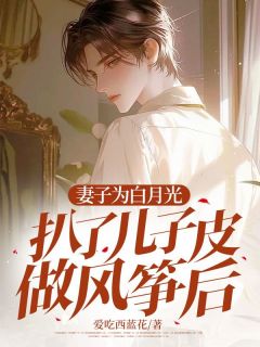 妻子为白月光把儿子做了风筝叶言泽温初年小说完整在线阅读