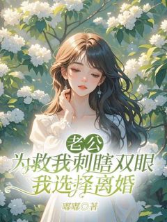 老公为救我刺瞎双眼，我选择离婚小说(完结)-李雯宋航章节阅读