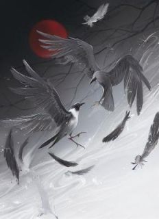 拒守秘境后，苦等白月光的道侣疯了（全本）陆凌沈照完整章节列表免费阅读