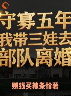 老书虫书荒推荐守寡五年：我带三娃去部队离婚txt小说阅读