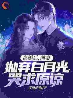 林峰孙黎姿小说离婚后，前妻抛弃白月光哭求原谅完整章节-二筒文学网