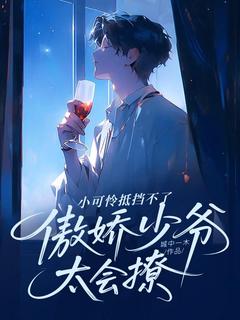 精彩小说傲娇少爷太会撩，小可怜抵挡不了陈安袁帅全章节在线阅读-二筒文学网