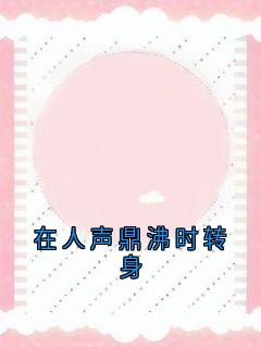 【新书】在人声鼎沸时转身主角贺亭舟辛惢全文全章节小说阅读-二筒文学网