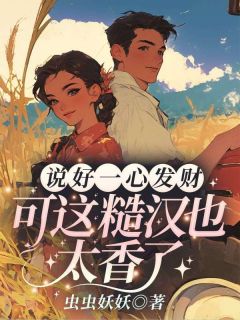 说好一心发财，可这糙汉也太香了！【全章节】林婉柠沈怀安完结版免费阅读-二筒文学网