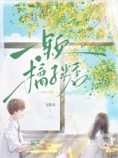 抖音小说一颗橘子糖沈韵林徐倾卿全文txt