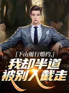 【下山履行婚约，我却半道被别人截走】小说在线阅读-下山履行婚约，我却半道被别人截走免费版目录阅读全文-二筒文学网