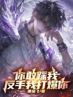 爆款小说由作者萧金飞所创作的你敢踩我，反手我打爆你在线阅读