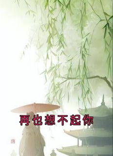 抖音再也想不起你小说章节阅读