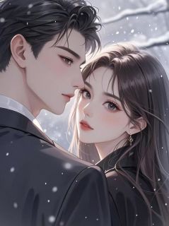 打脸看上我假名媛未婚妻的男助理无广告阅读 苏晚傅瑾川免费在线阅读-二筒文学网