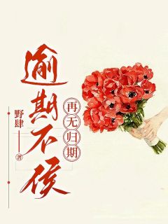 主角是宋从梦俞文黎的小说叫什么逾期不候，再无归期免费全文阅读