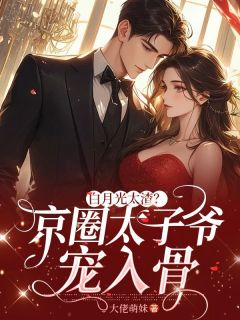 白月光太渣？京圈太子爷宠入骨大结局阅读 裴诗韵纪南飞小说在线章节-二筒文学网