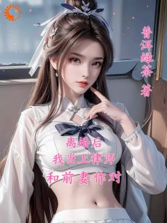 离婚后，我当上律师和前妻作对小说主角是陆玄苏梦月全文完整版阅读