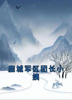 抖音鹿城军区团长小姨txt小说阅读-二筒文学网