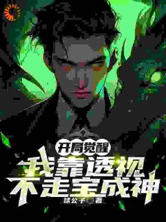 开局觉醒，我靠透视不走宝成神在哪免费看，林墨苏婉清小说章节目录阅读-二筒文学网