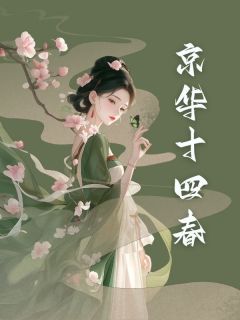 老书虫书荒推荐京华十四春txt小说阅读