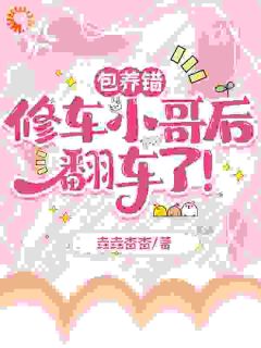 误撩偏执修车匠后，被策反了小说免费版阅读抖音热文-二筒文学网