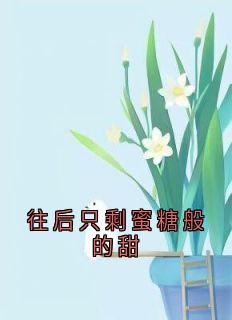 往后只剩蜜糖般的甜小说_往后只剩蜜糖般的甜小说结局阅读