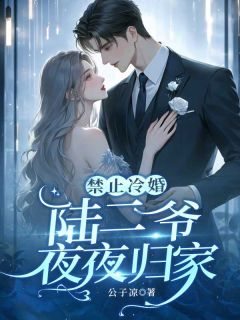 白枕寒陆承洲完整版禁止冷婚，陆二爷夜夜归家全文最新阅读