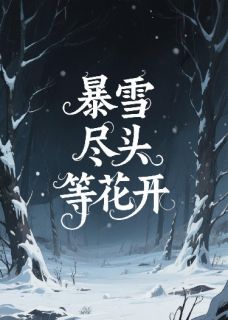 暴雪尽头等花开小说-暴雪尽头等花开抖音小说苏棠陆沉-二筒文学网