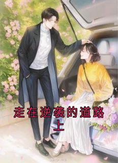 走在逆袭的道路上完整版-宴墨琛程郁涵在线全文阅读