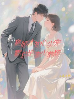 离婚才知心尖宠，霸总追妻火葬场(乙昱五柳)最佳创作小说全文在线阅读-二筒文学网