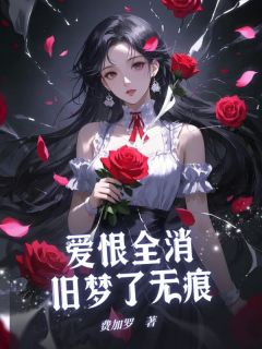 费加罗最新小说爱恨全消，旧梦了无痕司锦年林见语在线试读-二筒文学网