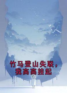 值得熬夜看完的竹马登山失联，我高高挂起小说阅读