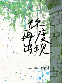 抖音热推小说你再度出现全文在线阅读-二筒文学网