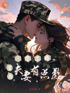 六零军婚：首长夫妻有点彪(阮安夏殷实枭)全文完整版阅读