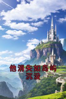 他消失如岛屿沉没在线阅读 裴斯寻黎湘免费小说精彩章节