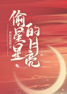 【偷星星的月亮】小说在线阅读-偷星星的月亮免费版目录阅读全文