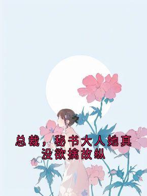 总裁，秘书大人她真没欲擒故纵小说百度云完整章节列表免费阅读