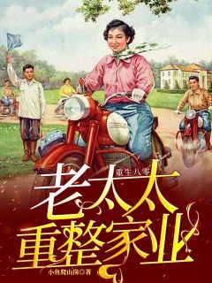 高质量小说重生八零：老太太重整家业在线试读