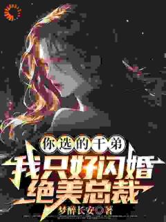 林宇叶清宁全文最新章节正版小说免费阅读