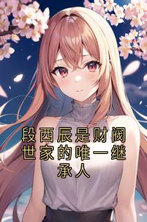 热门小说段西辰是财阀世家的唯一继承人完整版全文阅读