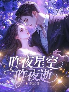昨夜星空昨夜逝by安饶小说完结版在线阅读
