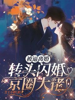 主角是沈南栀秦经纬的小说叫什么被逼离婚，转头闪婚京圈大佬免费全文阅读