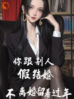 你跟别人假结婚，不离婚留着过年小说(连载文)-吴凡苏婉儿张鹏无广告阅读