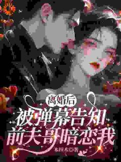 爆款小说姜虞当了三年的替身在线阅读-姜虞秦淮屿免费阅读