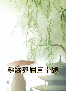 谢长淮的小说举案齐眉三十载全文阅读