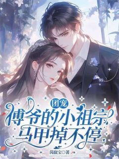 小说推荐团宠：傅爷的小祖宗马甲掉不停完结版全章节阅读